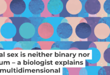 Some people may veer more typically female for some traits, more typically male for others, and intermediate for still others. aelitta/DigitalVision Vectors via Getty Images